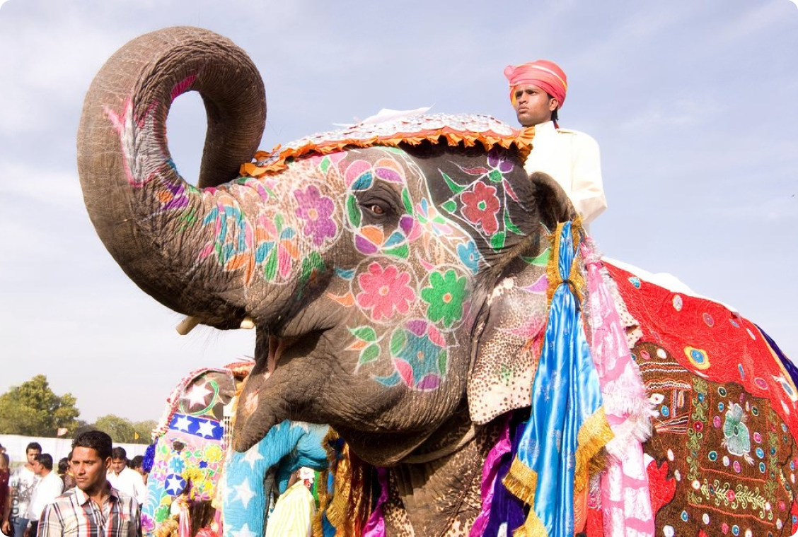 jaipur-elephant 1